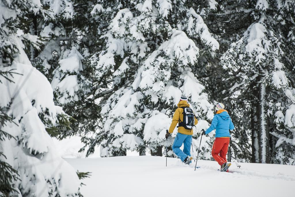 Alpenpension Pfurtscheller Нойштифт-им-Штубайталь Экстерьер фото