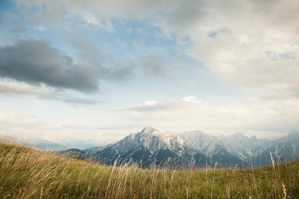 Alpenpension Pfurtscheller Нойштифт-им-Штубайталь Экстерьер фото