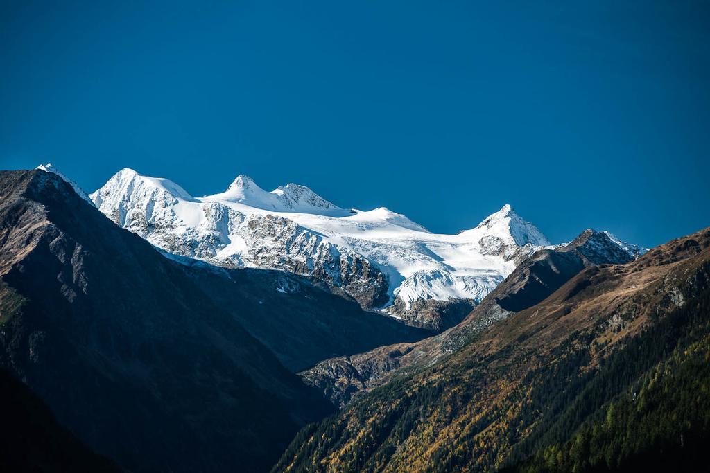 Alpenpension Pfurtscheller Нойштифт-им-Штубайталь Экстерьер фото