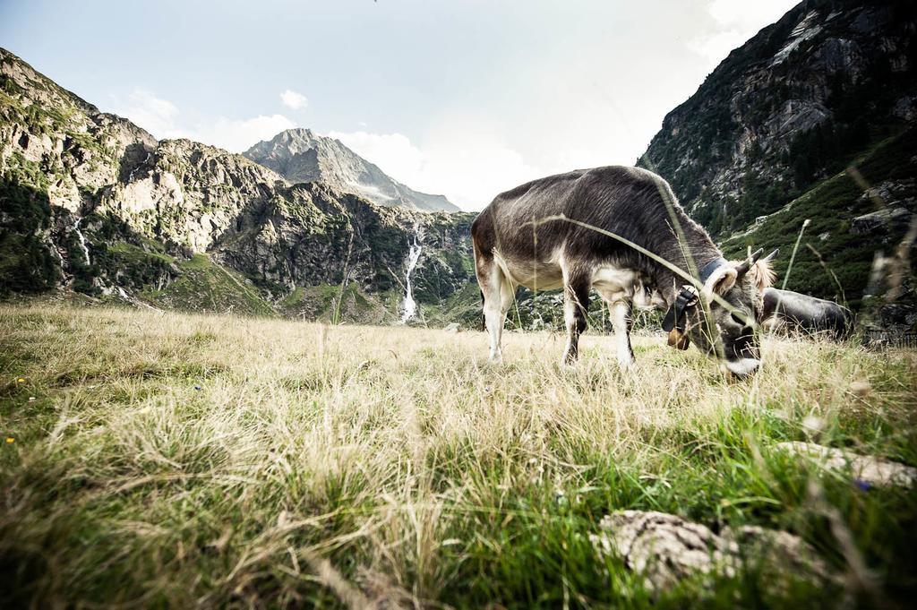 Alpenpension Pfurtscheller Нойштифт-им-Штубайталь Экстерьер фото